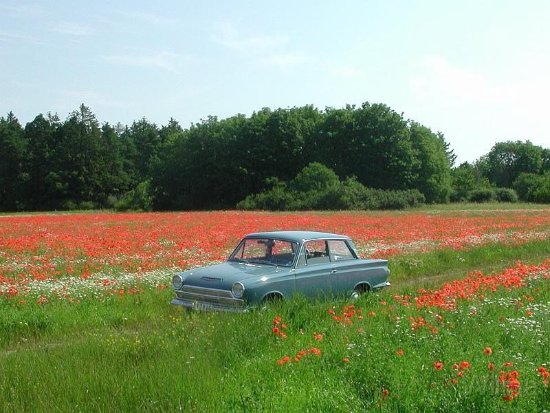 DSCN1633.JPG - På grönbete med vallmo i Vänge på Gotland.