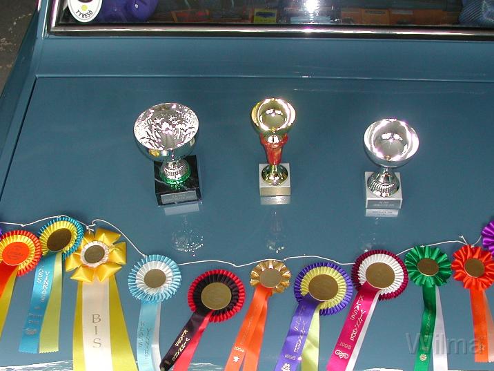 Pris 5.jpg - En del av Wilmas priser.