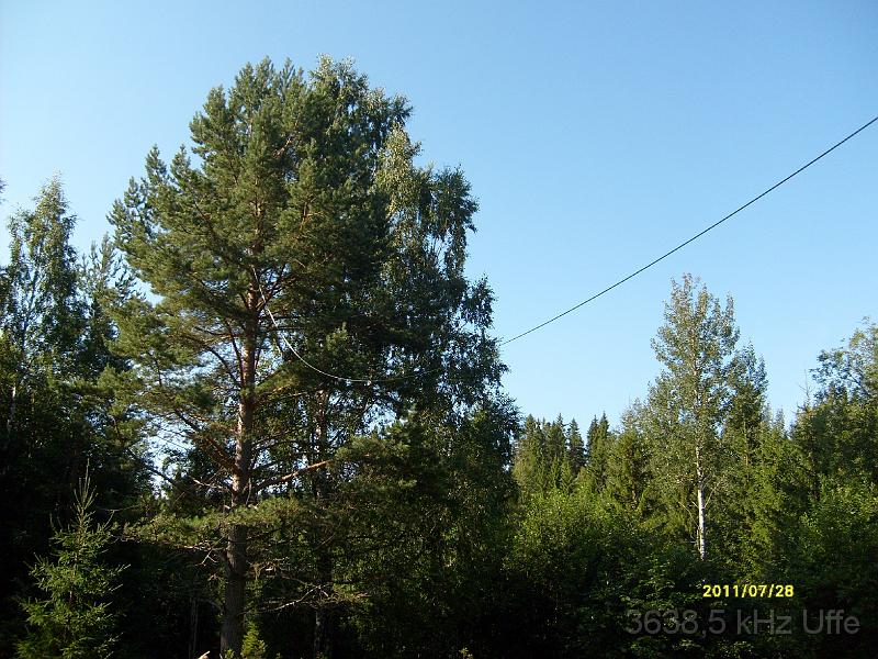 S6301795.JPG - SM0MBJ  Kurt;s antenn häär han var i Ramvik  SM3 distriket
